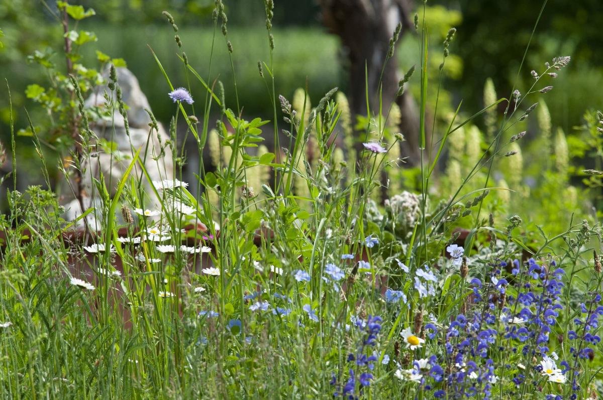 Lebensräume für Kleintiere