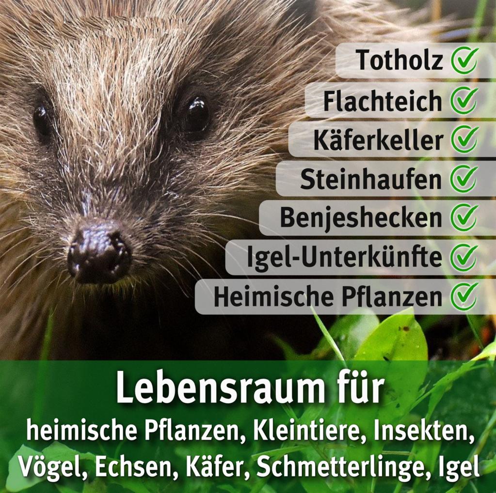 Copyright by Hortus Netzwerk